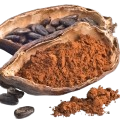 Cacao