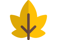 Fall