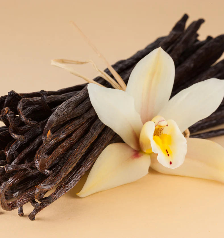 Vanilla