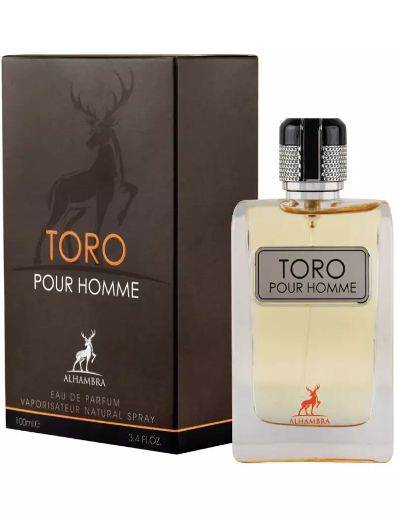 Toro Pour Homme - Terre d'Hermès Clone